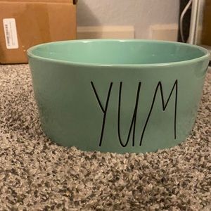Rae Dunn dog bowl teal